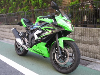 NINJA250 フェンダーレスキット】
